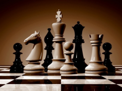 Школьница из Борисоглебска будет представлять Россию на Чемпионате Европы по шахматам