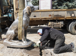 Белого Бима убрали с проспекта Революции в Воронеже 