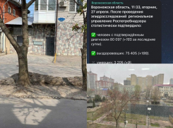 Коронавирус в Воронеже 27 апреля: +165 инфицированных, 9 смертей и апрельская метель 