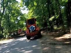 Упавшее дерево спровоцировало огромный затор в Воронеже 