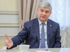 Почти самое слабое влияние в Черноземье оказалось у воронежского губернатора Гусева