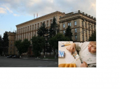 Прожиточный минимум на душу населения в Воронежской области составил чуть больше 8 тысяч рублей