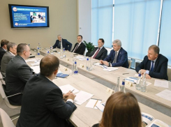 Сколько проектов воплотили в жизнь с помощью «Образа будущего» в Воронежской области