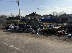 Будущий центр туризма Воронежской области тонет в мусоре