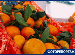 Что и почем можно купить в торговых рядах «Гринпарк» и «Озерки» 