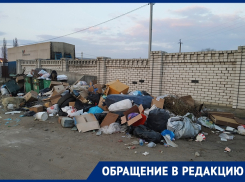 Огромная помойка стала местом притяжения бродячих псов в Воронеже