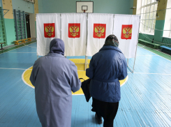 К 18 часам явка на выборы воронежского губернатора составила менее 40%