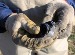 Обломки американского военного самолета нашли под Воронежем