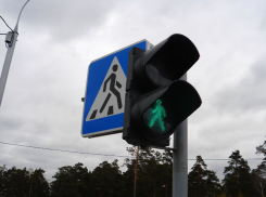 В Воронеже 19-летняя девушка погибла под колесами «Мерседеса» 