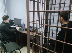 Силовики предъявили обвинение парочке похитителей воронежского школьника