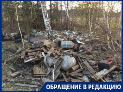 Воронежская элита захламила окраину города зловонным мусором