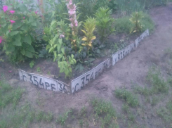 Удивительное применение госномеров в быту показали на фото в Воронеже