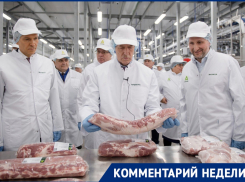 Почему Гордееву срочно требуются санитары, рассказал воронежский политик