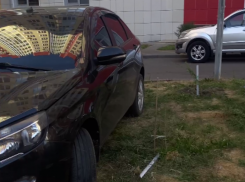 Парковочного короля нашли в воронежском микрорайоне 