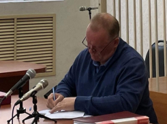 Помощницы депутатов предстали в образе невинных овечек на суде по делу Бавыкина-Васьковой