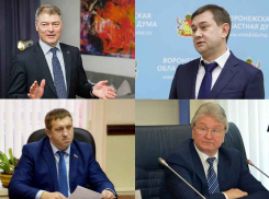 Смена элит в Воронежской облдуме: Логвинов может встать вместо Нетёсова, Жогова – сливают в гордуму