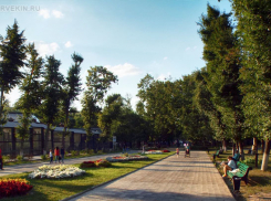 В Воронежском зоопарке имени Попова в апреле родились малютка енот и три волчонка