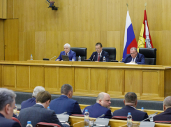 Новые кожаные удостоверения и нагрудные знаки получат депутаты Воронежской облдумы 