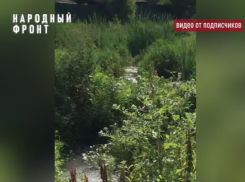 Вонючие «грунтовые воды» с нечистотами бегут по Воронежской области