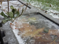 О ночных заморозках предупредили спасатели в Воронежской области