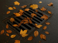 Работу ливневок оправдали воронежские чиновники 