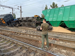 Названа причина схода грузового поезда с рельсов в Воронежской области