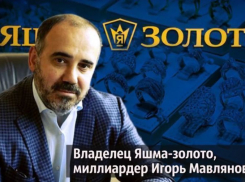 Олигархи «Яшма-золото» прописались в Боброве для списания 28 млрд руб кредитов по закону о личном банкротстве