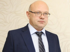 Руководитель воронежской ГЖИ получил выговор после снегопада 