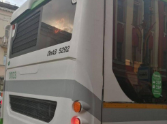 Поездка в автобусе порадовала жителя Воронежа