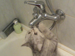 В Ленинском районе Воронежа скоро отключат воду