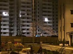 На улице Шишкова в Воронеже рухнул башенный кран