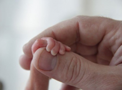 В Россоши погиб новорожденный: причины смерти выясняются