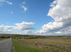Новый природный заказник власти решили создать на юге Воронежской области