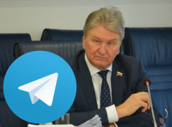 Раскрыты группы в соцсетях и «Телеграме», в которых хотят рекламировать депутатов Воргордумы