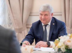 Крепкого здоровья и созидательной энергии пожелал президенту воронежский губернатор 