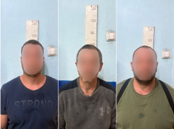 Браконьеры пытались выкинуть тушу кабана во время полицейской погони в Воронежской области