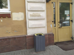 Воронежскую мэрию заподозрили в воровстве мусорки из сквера 
