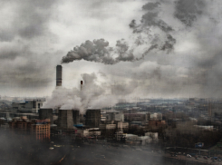 Мусорный ветер рассорил главу района и депутатов в Воронежской области