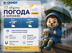 Осенняя хандра просочилась в прогноз погоды в Воронеже