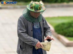 О том, что в городе нарушаются права рабочих, заявили более 80% опрошенных воронежцев