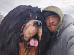 Пугающе реалистичную собаку из дерева создал воронежский бензопильщик 