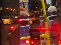 Воронежцы парализовали в пробке одну из улиц, прорываясь к новогодней площади Ленина 