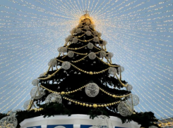 Будет ли салют на Новый год, рассказали воронежцам 