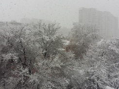 Аномально теплая погода в Воронеже сменится резким похолоданием