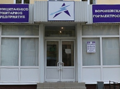 Власти объявили об очередной попытке приватизировать «Воронежскую горэлектросеть»