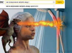 Нагреть воду с помощью дракона предложил воронежцам поисковик 
