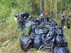 Воронежцев позвали на массовую уборку