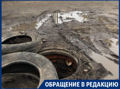 Жажда легкой наживы поставила под угрозу здоровье детей в Воронеже