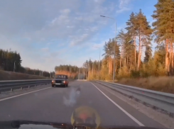 Нежданчик на М-4 «Дон» застал автомобилистов врасплох 