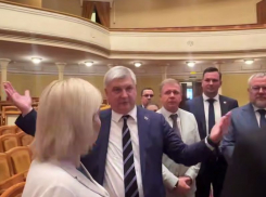 Очередной федеральный министр приехал с рабочим визитом в Воронеж